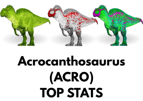Acro top stats - top,