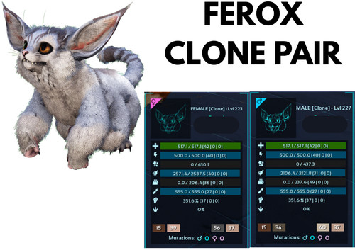 Ferox clone coppia arca - ferox,