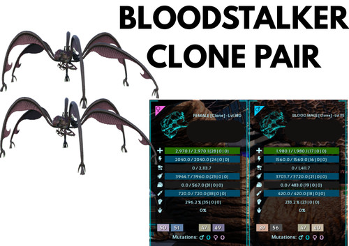 Bloodstalker coppia cloni arca - bloodstalker,