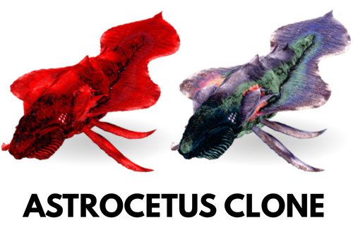 Astrocetus clone ark survival - ark,